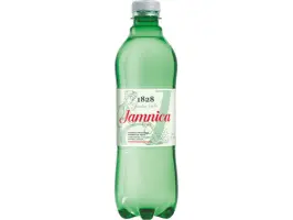 Jamnica 0,5 L